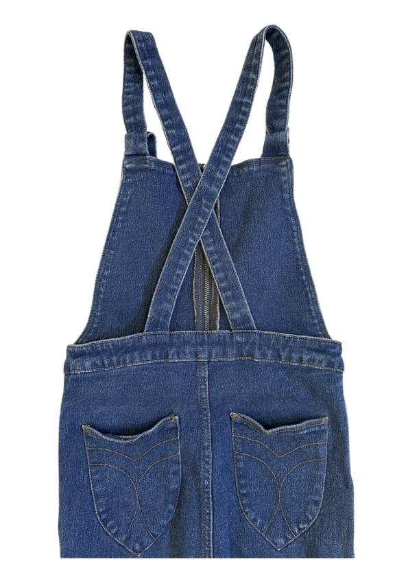 Rolla's High Rise Flare Denim Overalls