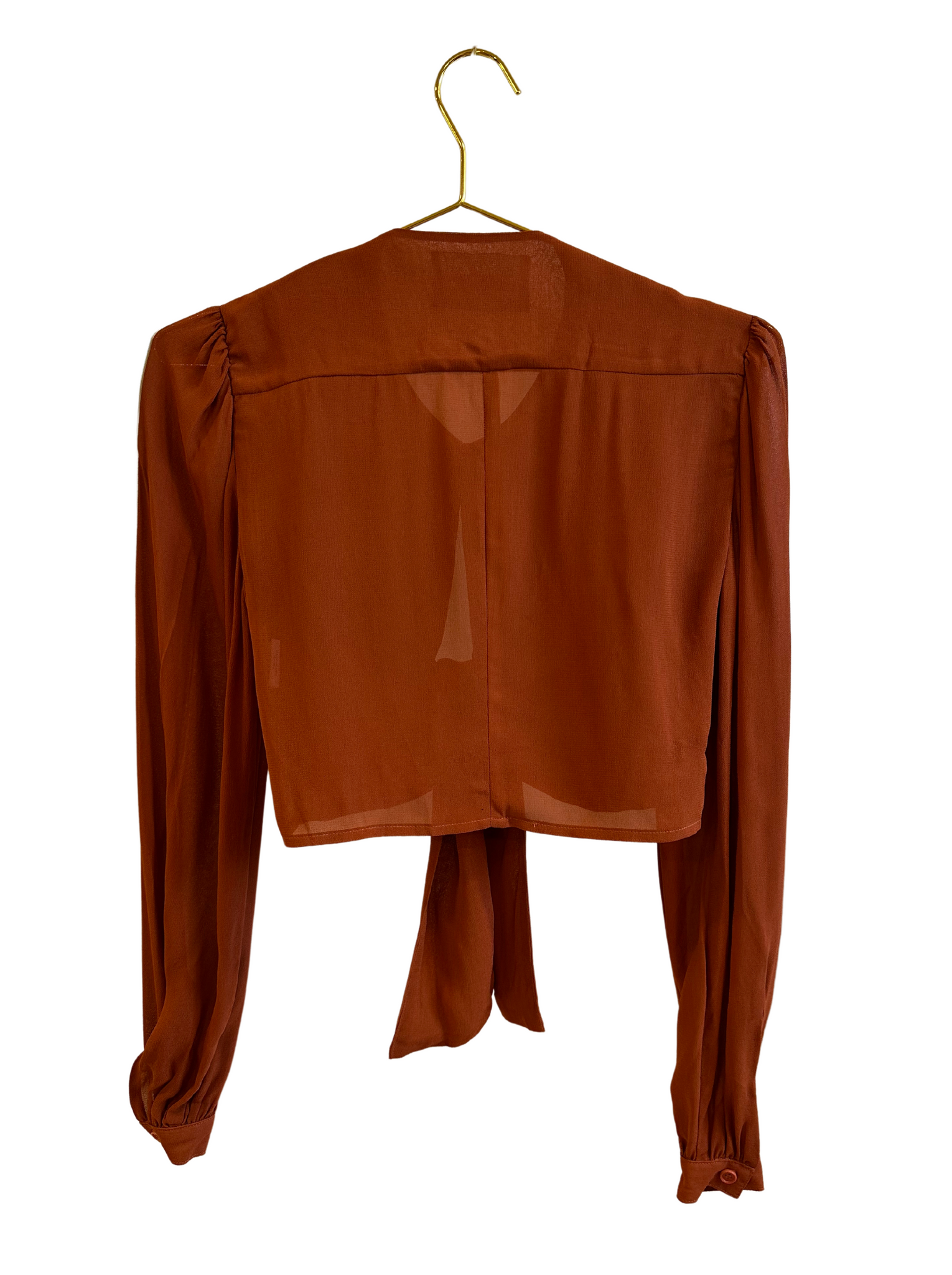 Brown Sheer Reformation Blouse